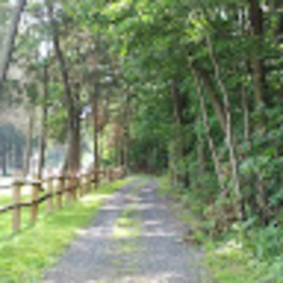 Meet your Posher, Grace - Picture 1 of 1